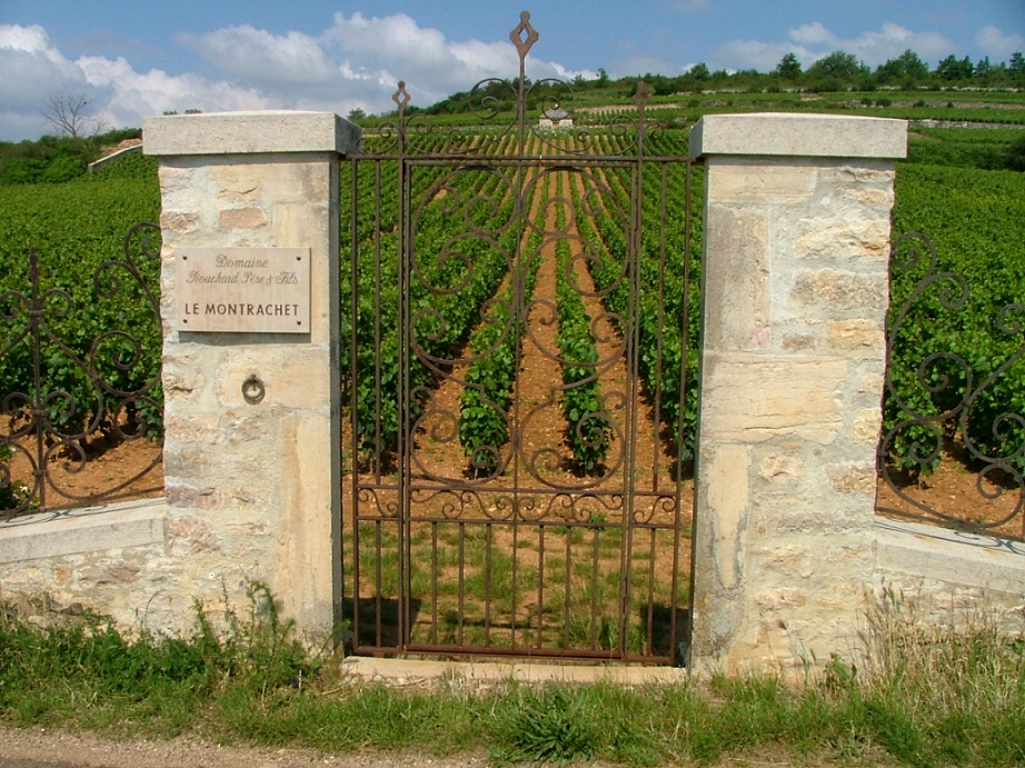 Week-end les Grands Vins de Bourgogne - Côte de Beaune... en voiture