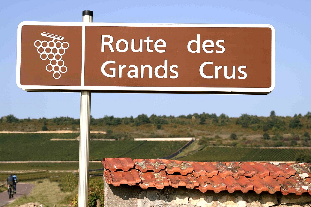 Walking tour in Burgundy, the famous vineyard