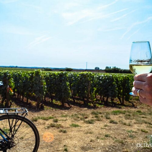 Beaune et vignoble de Bourgogne à vélo - 4 jours