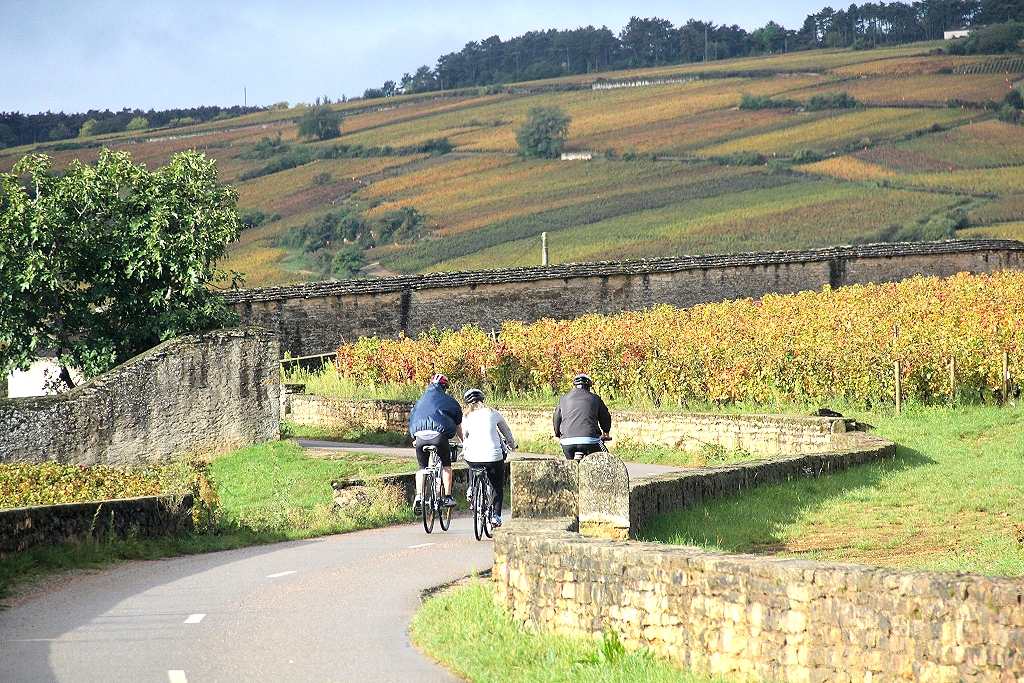 Vineyards and Canal of Burgundy by bike