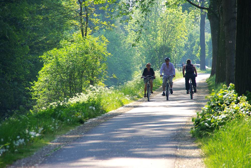 Vacances à vélo en Alsace entre vignes et villages traditionnels