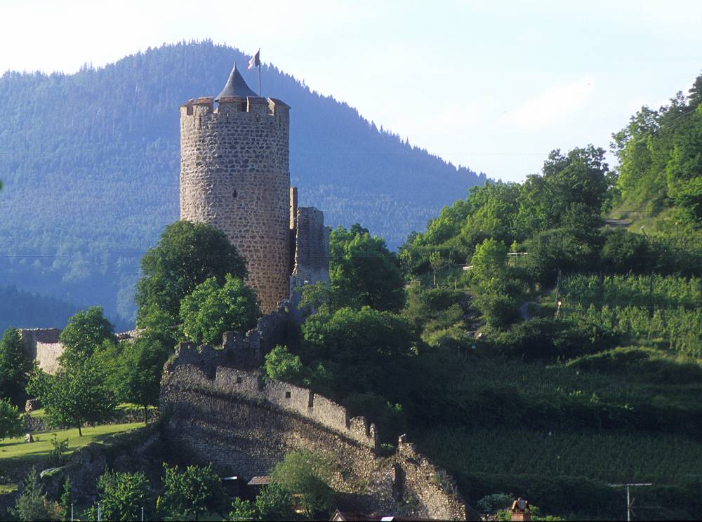 Randonnée pédestre des vignobles d'Alsace aux Ballons des Vosges