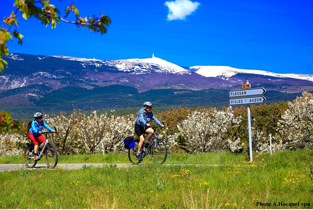 Cycling Mont Ventoux and Luberon in Provence, for avid or electric riders