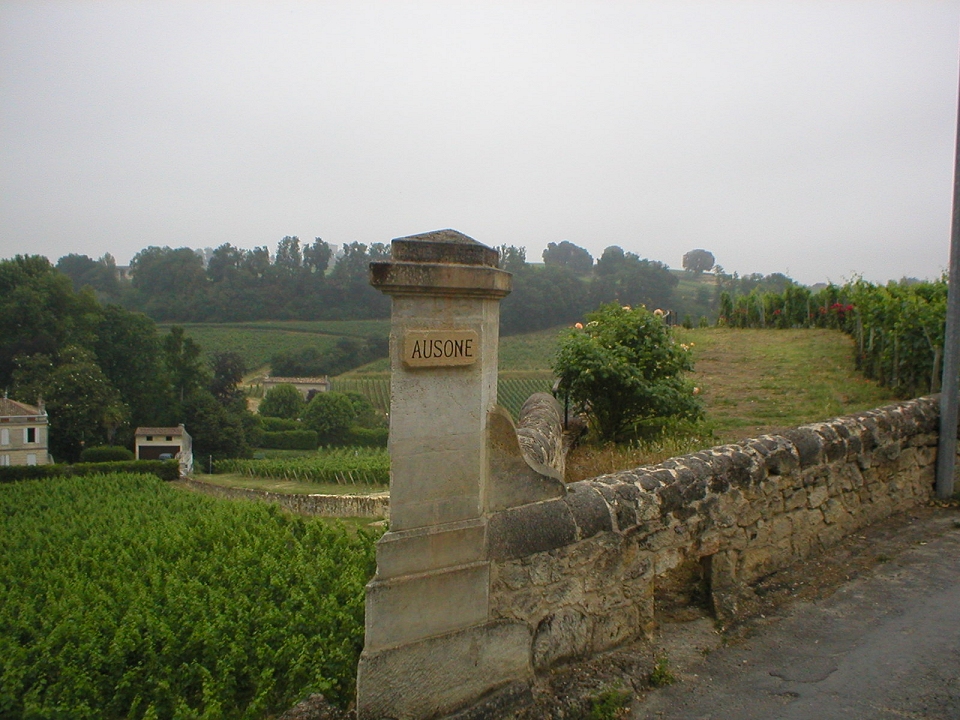 Walking tour through Bordeaux vineyards from Saint-émilion to Sauternes