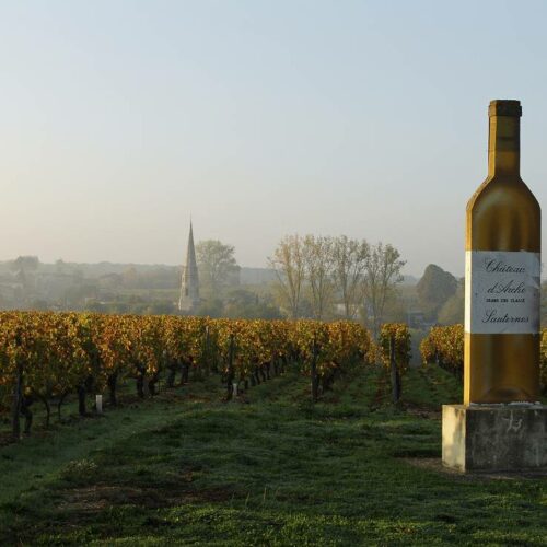 Randonnée dans les vignobles bordelais de Saint-Emilion à Sauternes