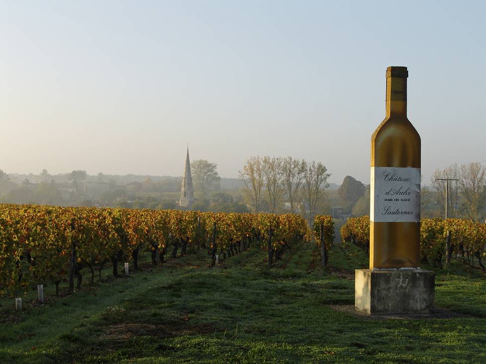 Walking tour through Bordeaux vineyards from Saint-émilion to Sauternes