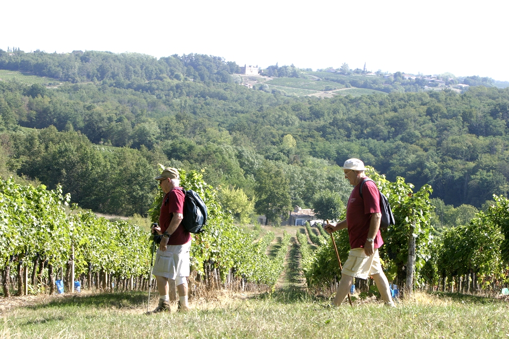 Randonnée dans les vignobles bordelais de Saint-Emilion à Sauternes
