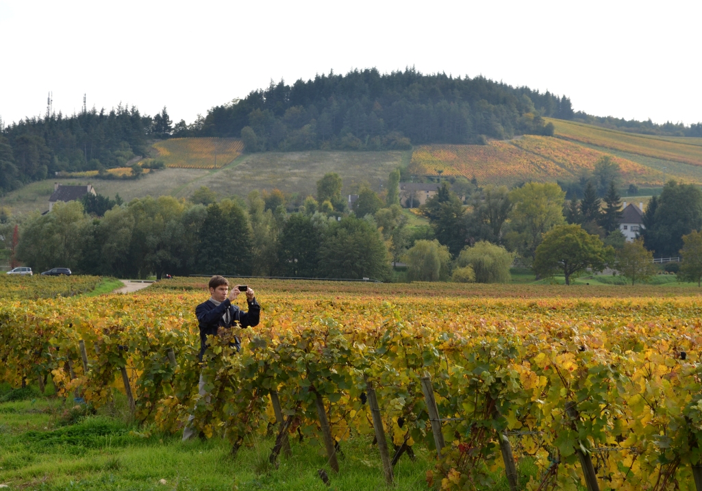 Walking tour in Burgundy, the famous vineyard
