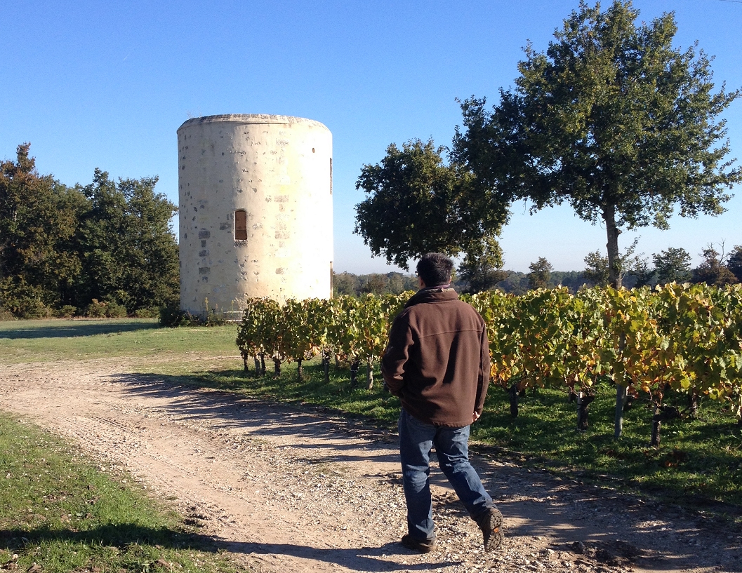 Walking tour Pauillac, Margaux Vineyards & Gironde estuary