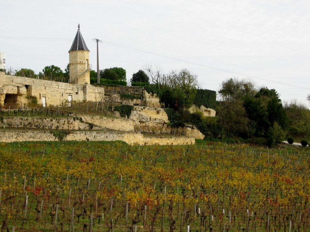 Bordeaux Wine tour - Wine road from the Medoc to Saint-emilion by car
