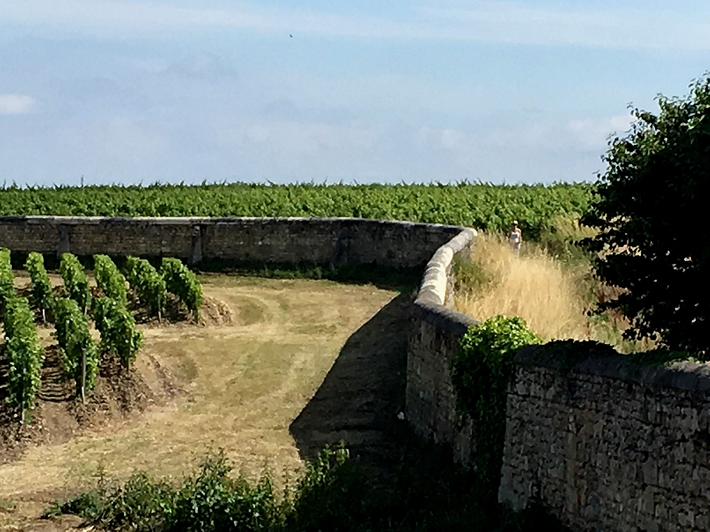 Bordeaux Wine tour - Wine road from the Medoc to Saint-emilion by car